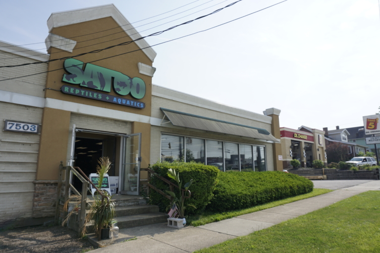 Satoo Reptiles & Aquatics Property Image